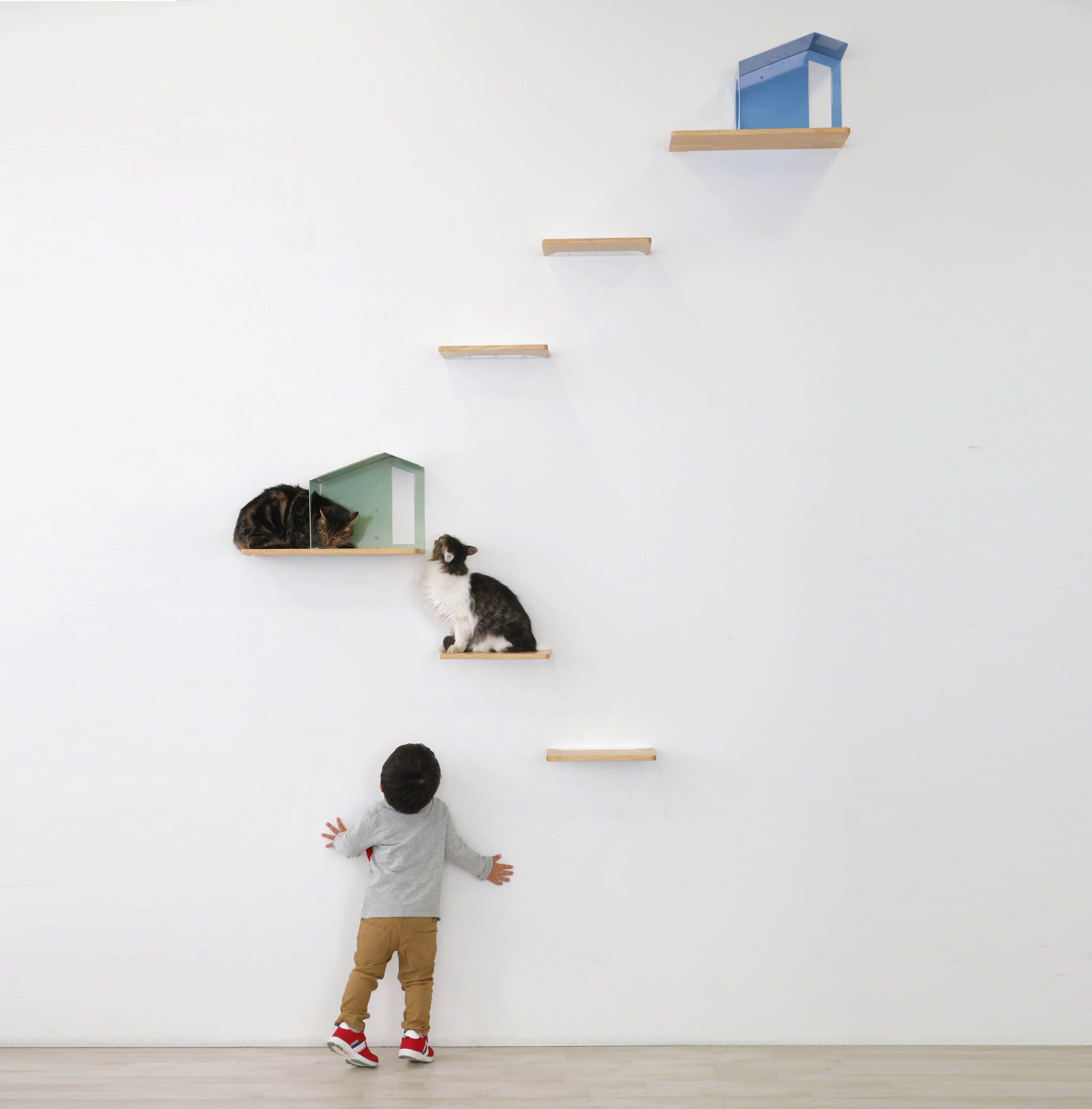 キャットシェルフ【既製品】