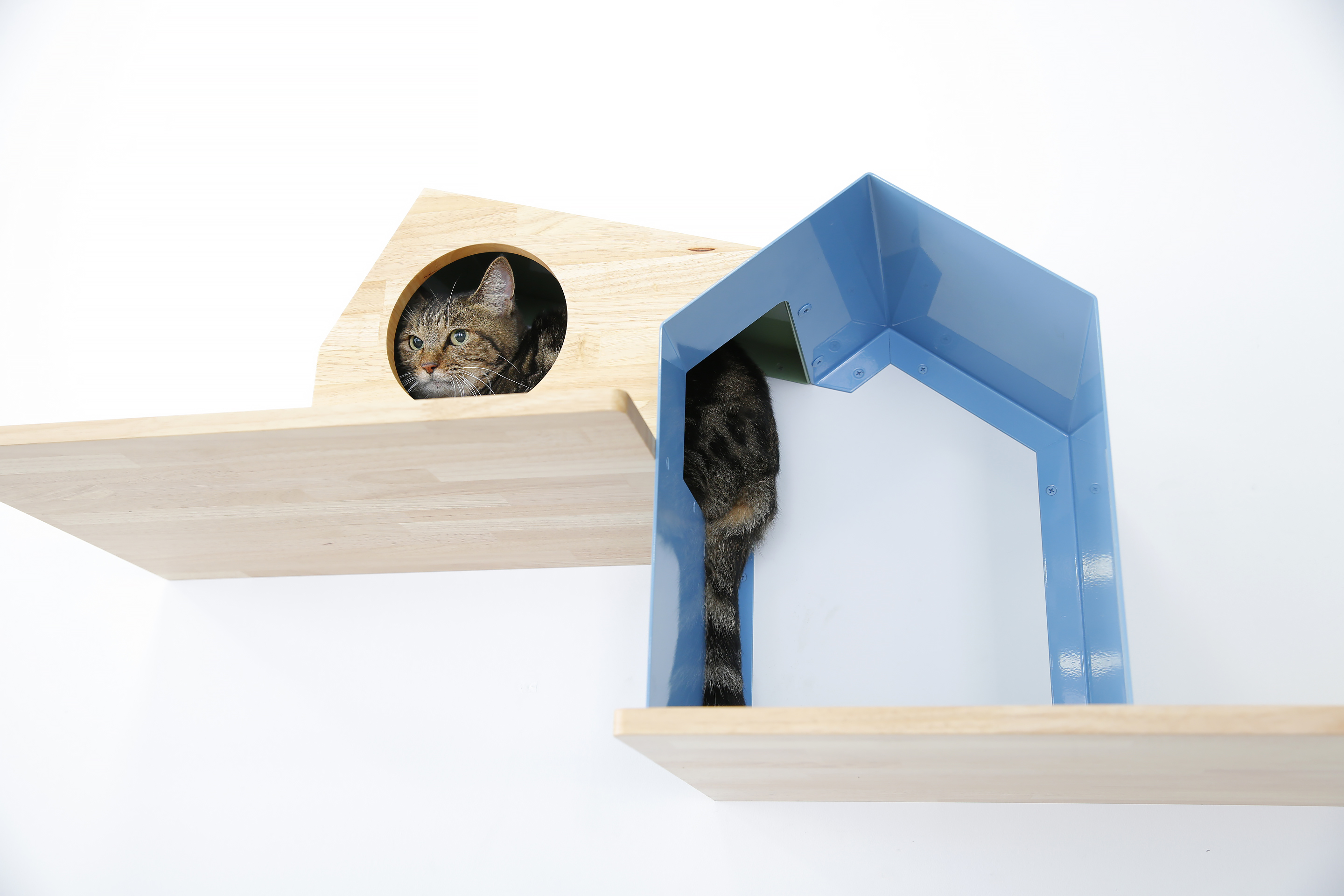 キャットシェルフ【既製品】